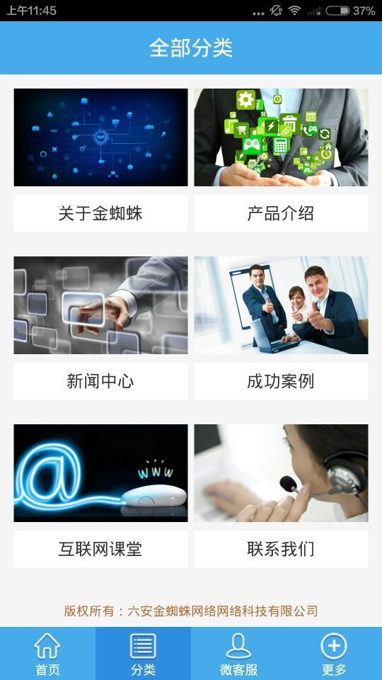 金蜘蛛网络截图3