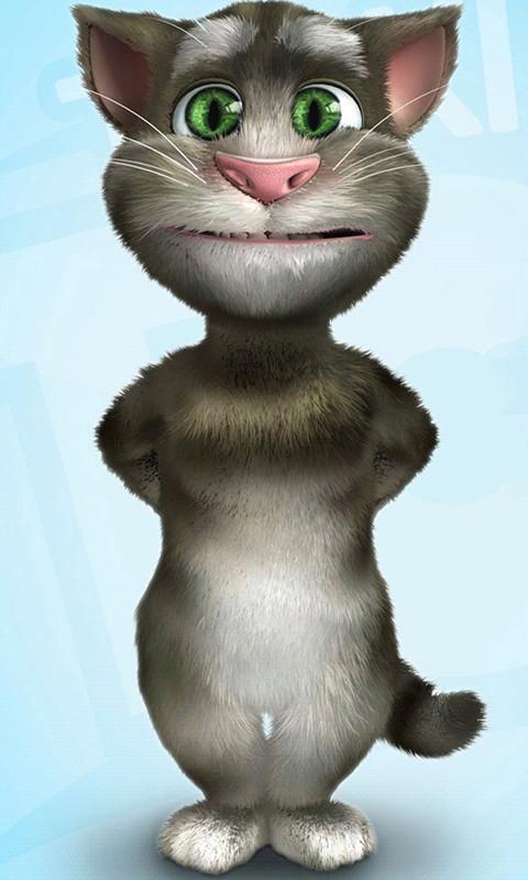 会说话的汤姆猫-3d桌面壁纸