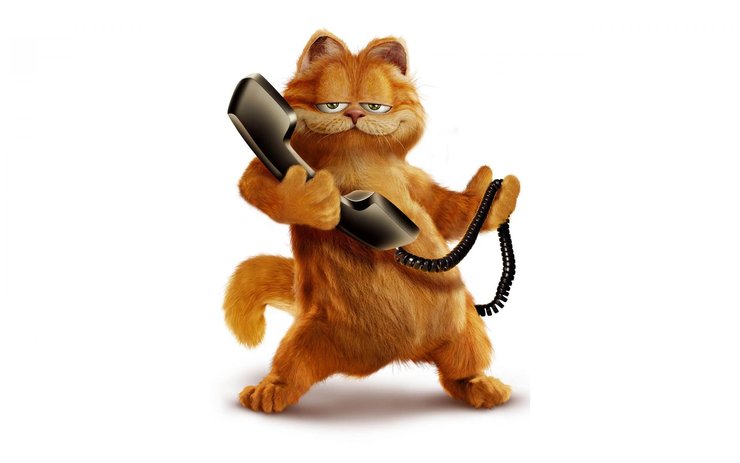 com/bz/152415 壁纸标签 卡通加菲猫下载高清大图 猜您喜欢