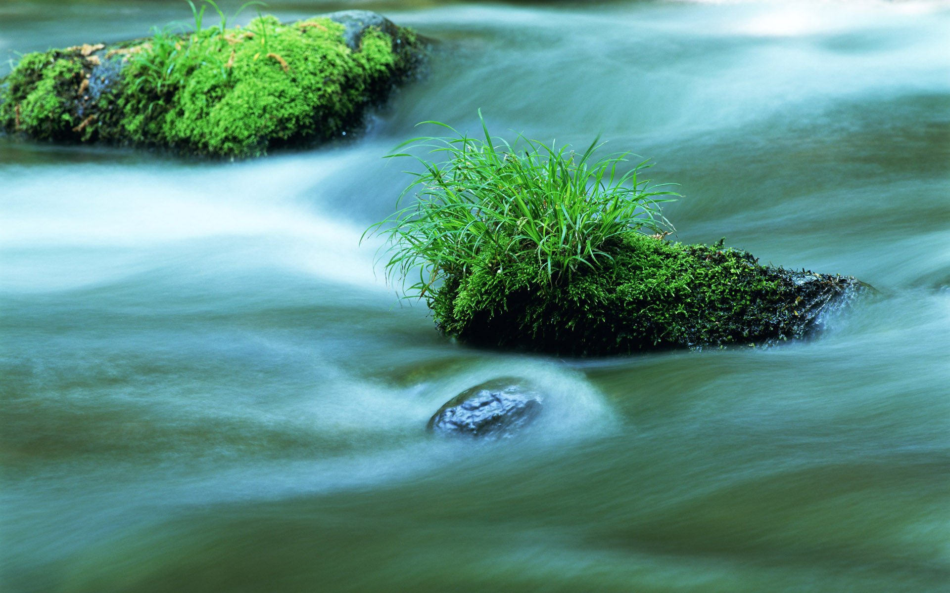 安卓手机高清壁纸