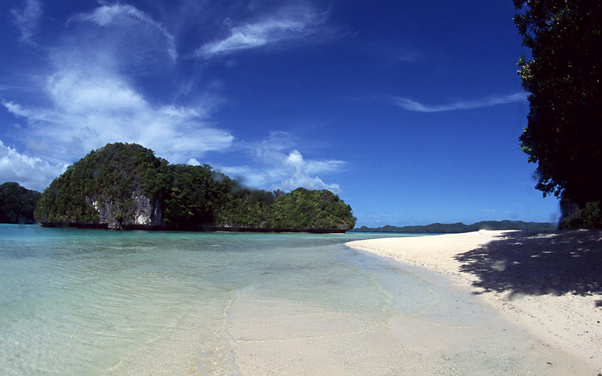 安卓手机高清壁纸